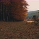 Running in the Autumn Forest - VideoHive Item for Sale