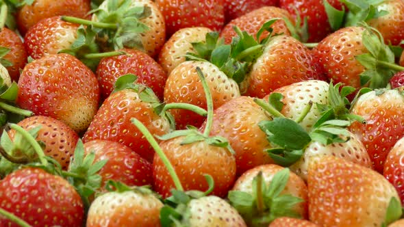 Red Strawberry fruit