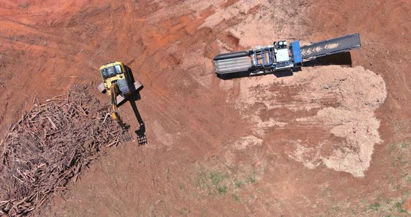 Construction Site View with Work Wood Chipping Machine the Chipper Process