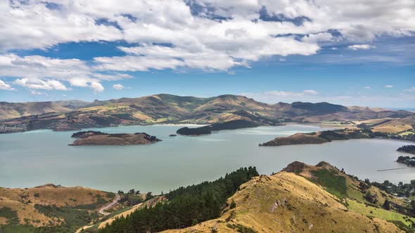 Sunny New Zealand Wild Nature