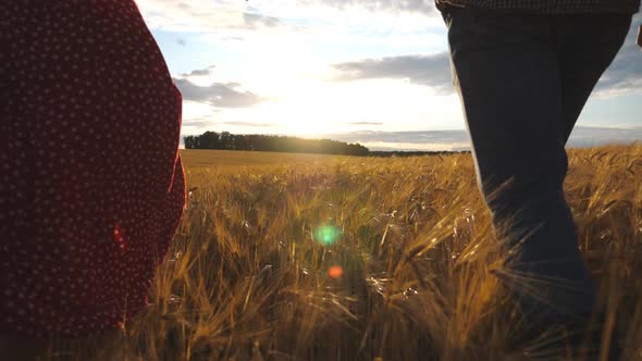 Young Couple of Parents with Two Children Holding Hands of Each Other and Running Through Wheat