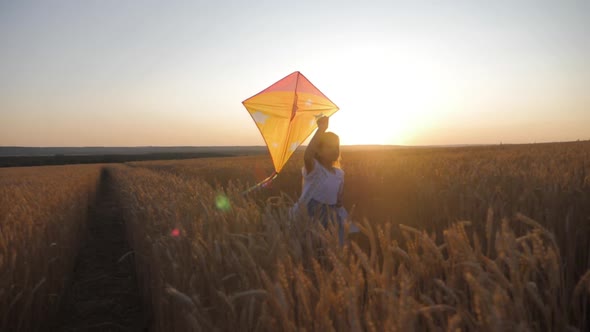 Pretty Girl Playing with Kite in Wheat Field on Summer Day. Childhood, Lifestyle Concept.