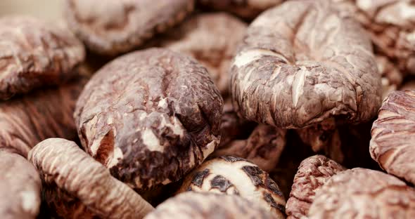 Chinese dry mushroom in rotation