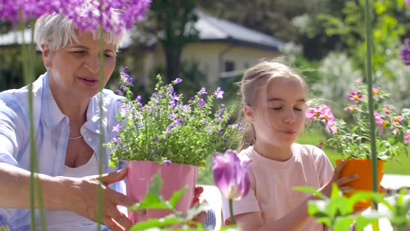 Grandmother and Girl Planting Flowers at Garden 16