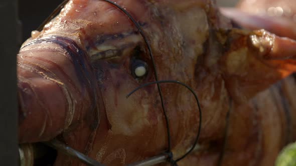 Closeup of a whole pig roasting over a fire pit at a barbecue