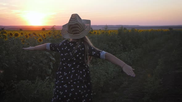 Child Girl Runs Across the Field of Sunflowers, Hands Are Opened at Sun Down.