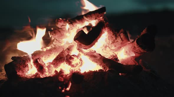 Campfire on the Beach Close Up