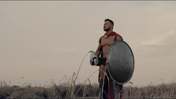 Spartan Posing in Dry Wheat Field