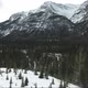 Pine Forest Rocky Mountains - VideoHive Item for Sale