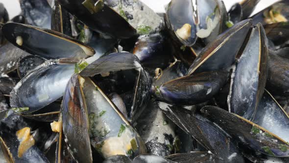 Bowl of common mussels after meal close-up  4K 2160p 30fps UltraHD tilting footage - Empty shells pi