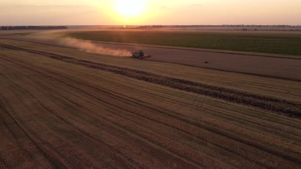 Harvesting wheat at sunset