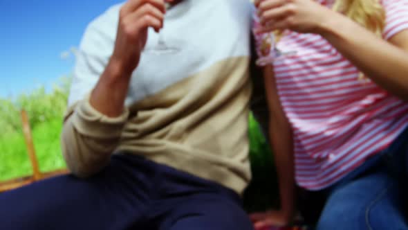 Happy couple toasting glasses of wine in vineyard