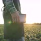 Agronomist with a tablet on a soybean field in the light of the rays of the sun. - VideoHive Item for Sale