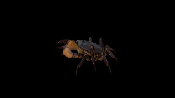 Crab Walk alt