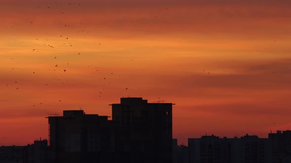 Morning Sky of Red Orange and Yellow Shades - Silhouettes of Buildings - Red Dawn