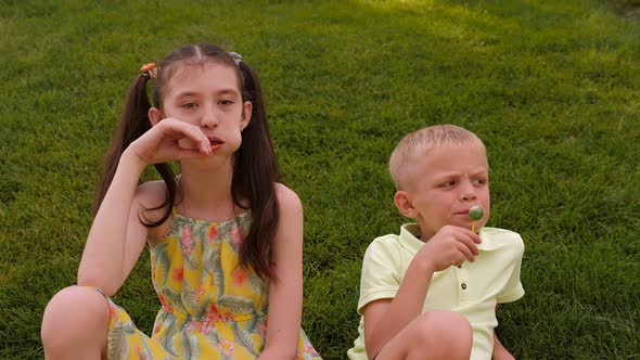 Portrait of Two Small Children in the Park with Lollipops on the Green Grass