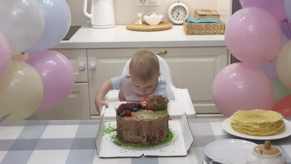 One Year Old Baby Boy Celebrating His First Birthday Cute Small Child Sitting in Front of Sweet