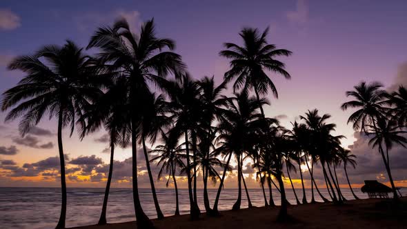 Beach at sunrise