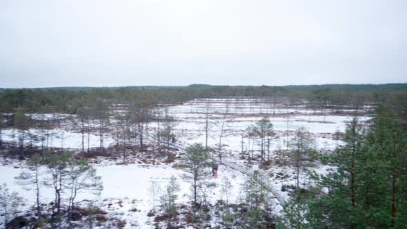 Wide pan shot of Viru bog from Observation tower in winter. Families with children hiking on slipper