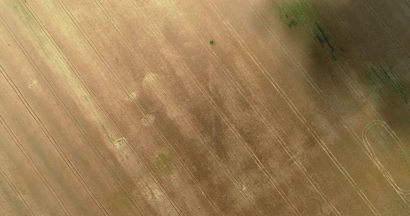 Bird's eye view of farmers fields with wheat