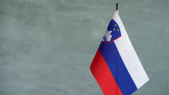State Flag of Republic of Slovenia Waving on Gray Background