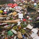 Huge Dump in Tropical Mangrove Tree Forest. Plastic Waste Rubbish Floating in Lake Water - VideoHive Item for Sale
