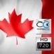 Silk Flag Animation of Canada - VideoHive Item for Sale