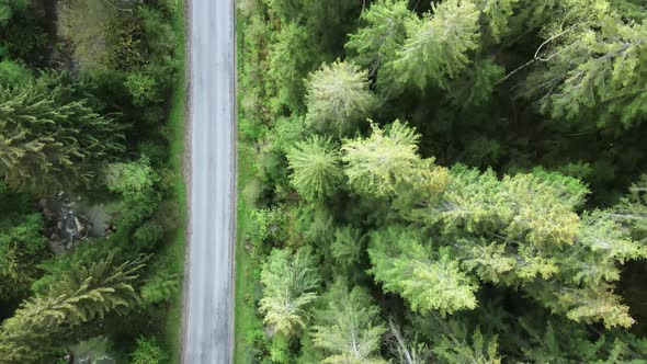 Ukraine, Carpathian Mountains: Road in the Mountains. Aerial