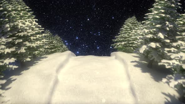 Winter and Christmas background