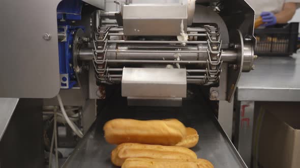 Manufacture of Desserts Eclairs