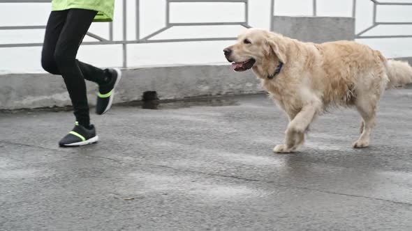 Dog Running with Teenage Boy