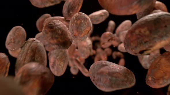 Super Slow Motion Detail Shot of Raw Chocolate Beans Falling Down on Black Background at 1000Fps