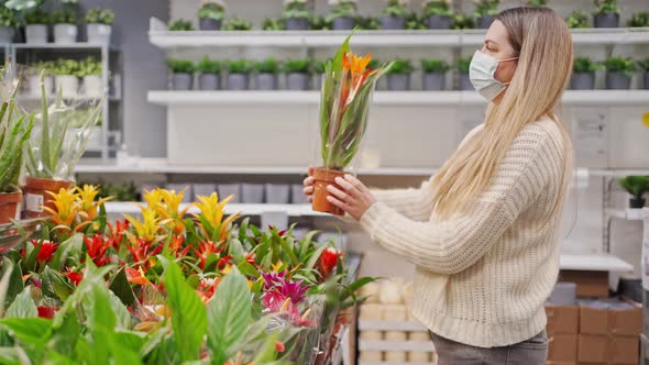 Young Woman in Protective Face Mask Selecting Potted Plants for Sale Examining and Taking Care About