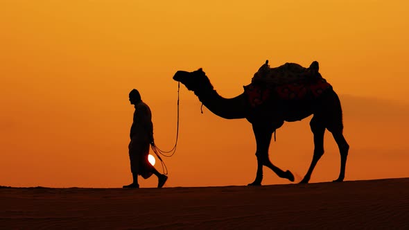 Cameleers Camel Drivers at Sunset