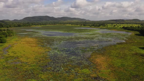 The Wetlands of Sri Lanka