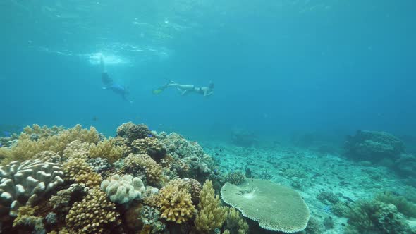 UNDERWATER: Couple Tourist Snorekeling in the Blue Ocean with Corals and Fishes.