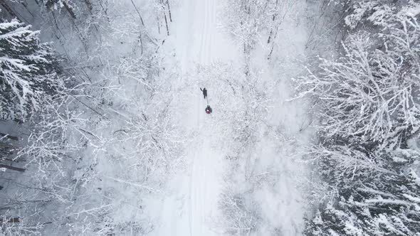 Mom and Son Ride Tubing in the Winter Frosty Forest