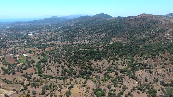 Olive Groves Over the Mountains in Mediterranean Geography