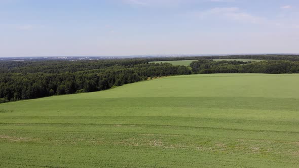 6 Agricultural Fields