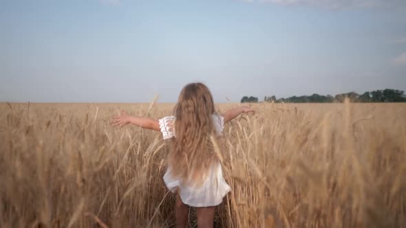 Agriculture, Sweet Small Girl with Long Blond Hair in White Outfit Runs Across Field with Wheat Ripe