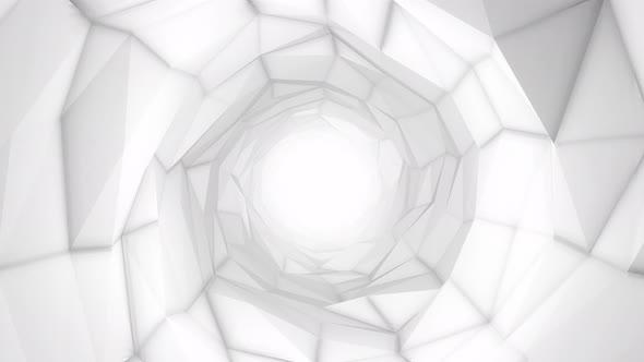 White Low Poly Tunnel Loop