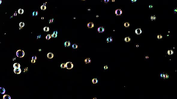 Different Size and Color Soap Bubbles Fly. Black Backgrounds