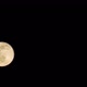 Yellow Full Moon at Dark Night Background - VideoHive Item for Sale