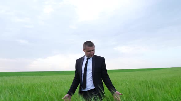 A Farmer Agronomist Walks on a Green Field of Wheat and Checks the Harvest