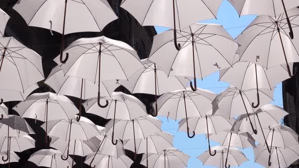 White Umbrellas Are Hanging on Rope Between Old Buildings, Swaying By the Wind. Umbrella Sky Project