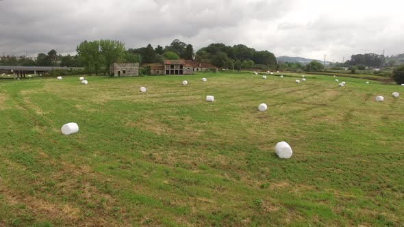 Abandoned Farmland