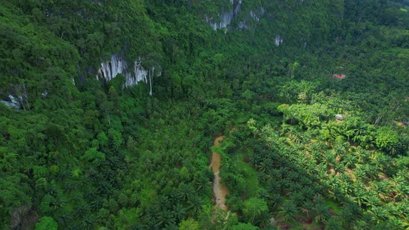 Drone fly over tropical forests, mountains on the sides