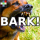 Dog Warning Bark - AudioJungle Item for Sale