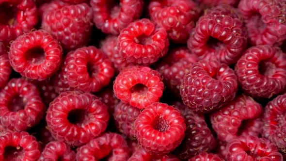 Close Up Rotation Loopable Raspberry