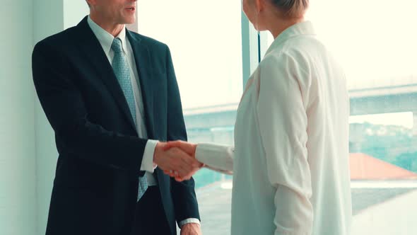 Business People Handshake in Corporate Office